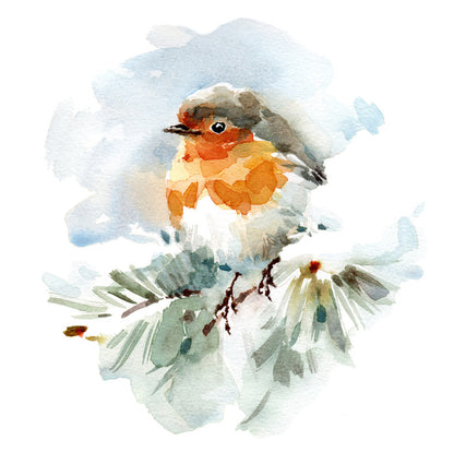 Robin in the snow