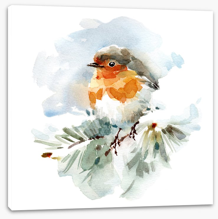 Robin in the snow