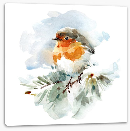 Robin in the snow