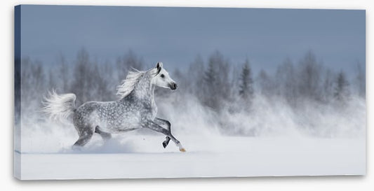 Powder run