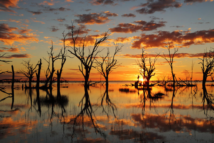Lake Menindee mirror