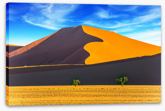 Dunes of light and shadow