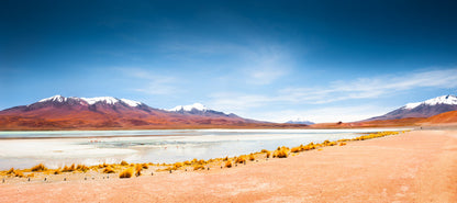 South America
