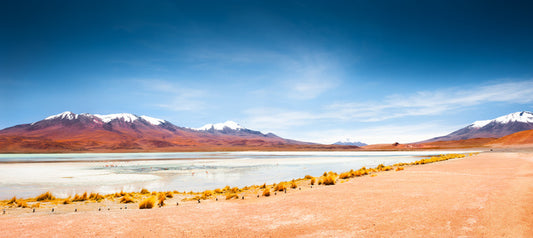 South America