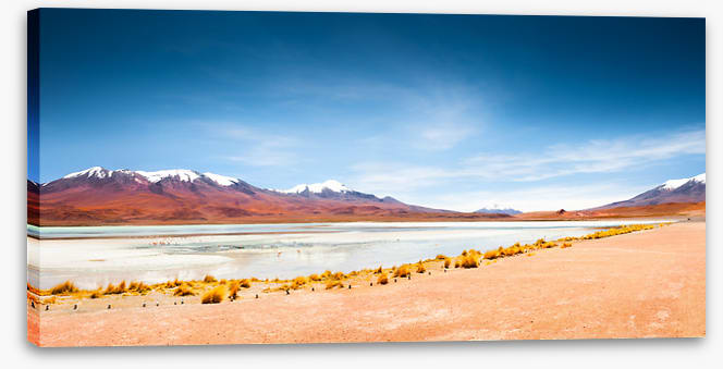 South America