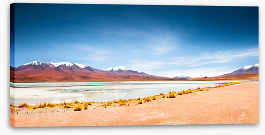 South America