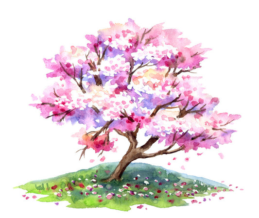Cherry tree hill
