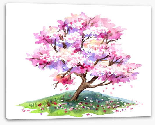 Cherry tree hill