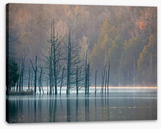 Lakes