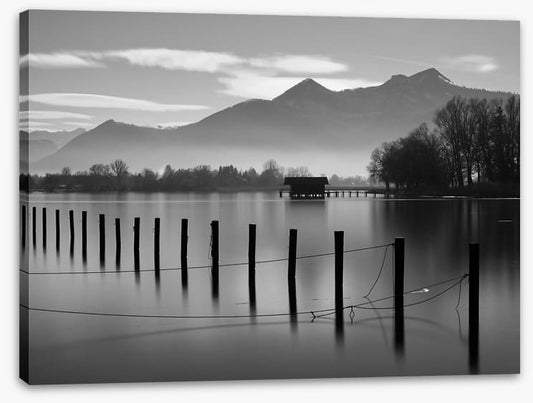 Stillness and shadows