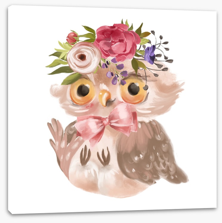 Flower owl fall 2