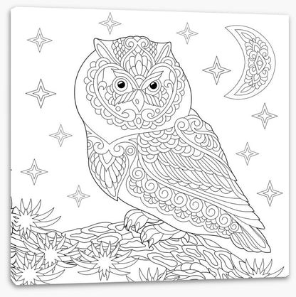 Colour me night owl