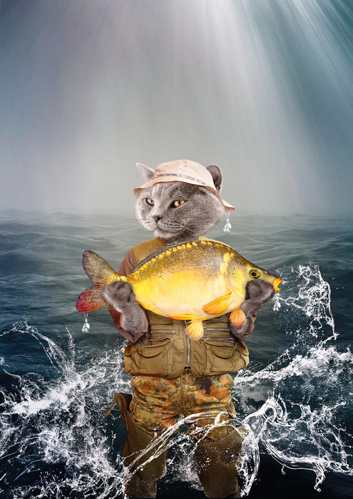 Fishing for compliments