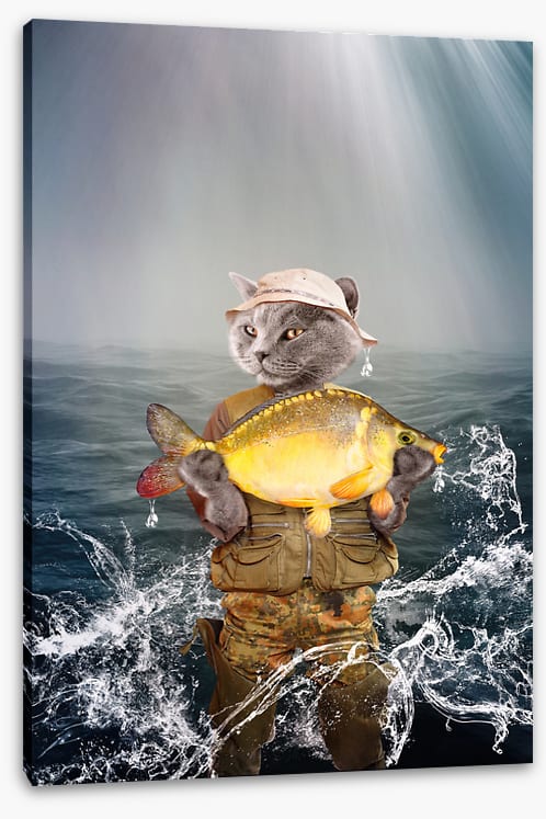 Fishing for compliments
