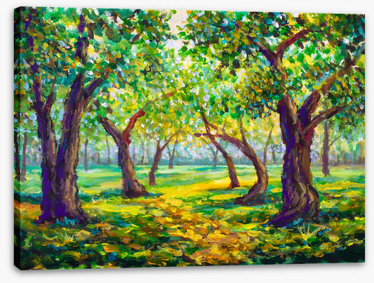 Through the sunny forest