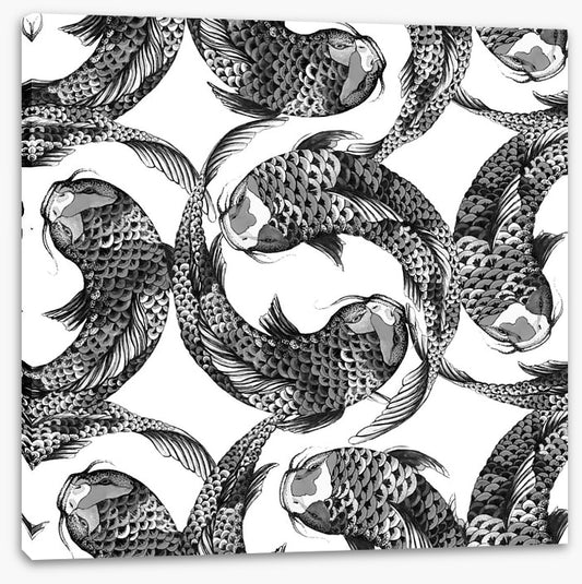 Feeling koi