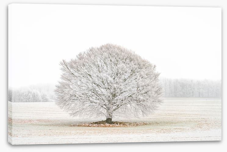 Solitude in the snow