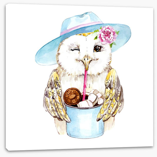 Owls
