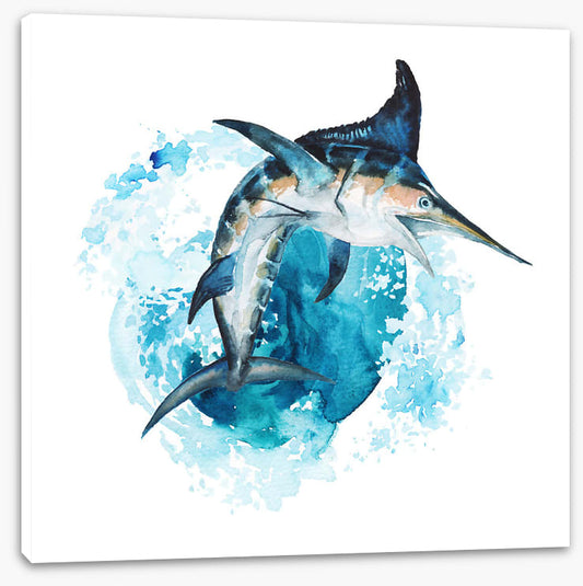 Swordfish splash