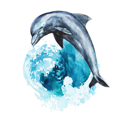 Dolphin wave