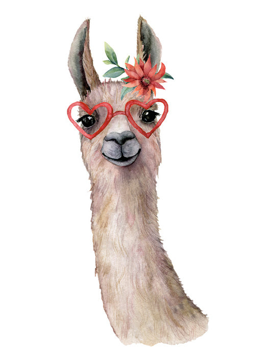 Llama love