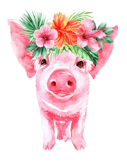 Aloha piglet
