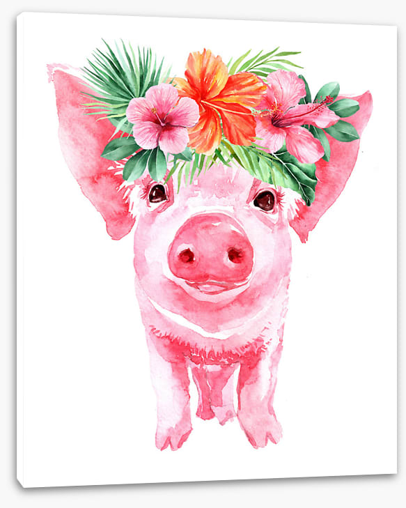Aloha piglet