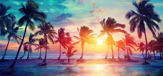 Sunset on summer
