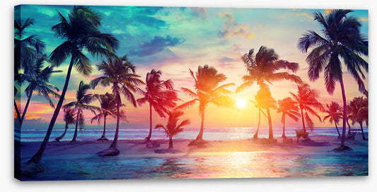 Sunset on summer