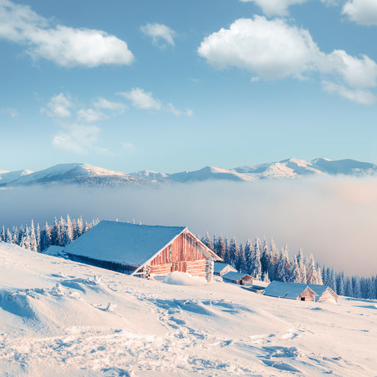 Snowed under