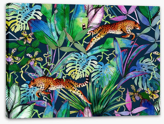 The jungle leopards