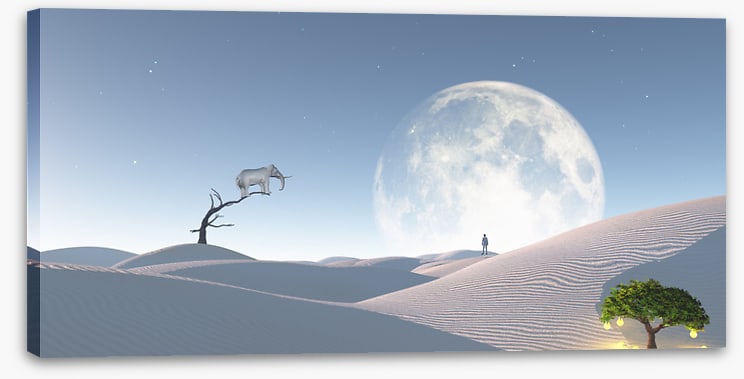 Dunes to the moon