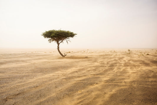 Africa