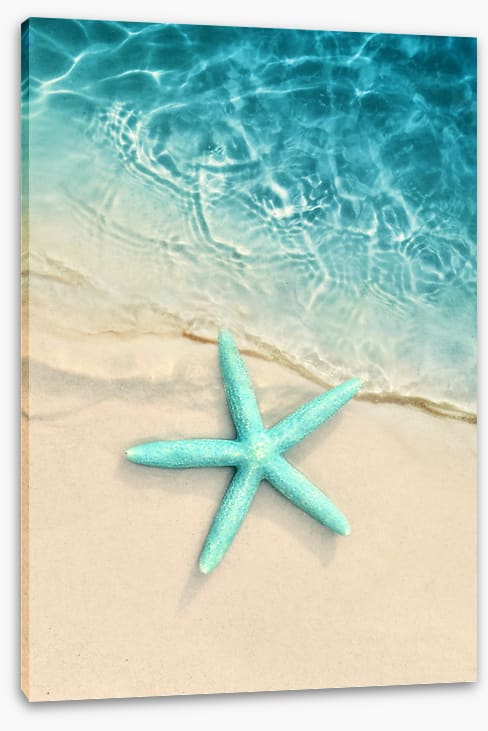 Turquoise starfish sands
