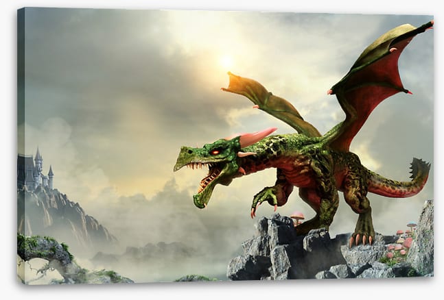 Dragons
