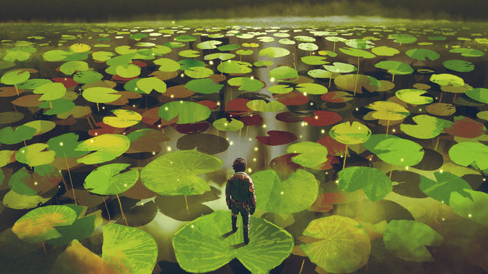 Lily pad labyrinth
