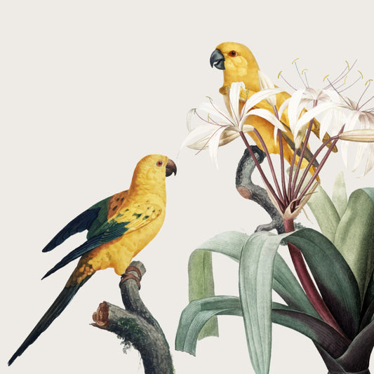 Feathered friends I
