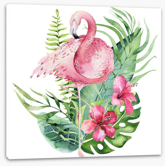 Spring in your step 1