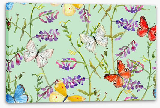 Butterflies