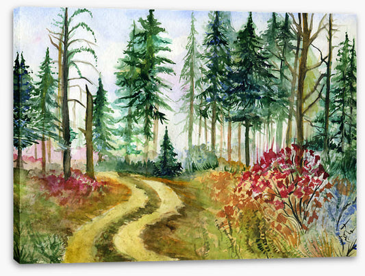 Path through the pines