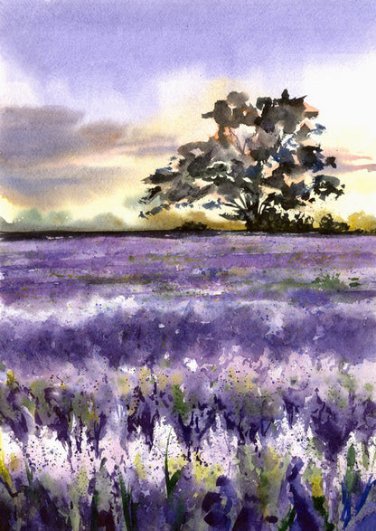 Purples of Provence