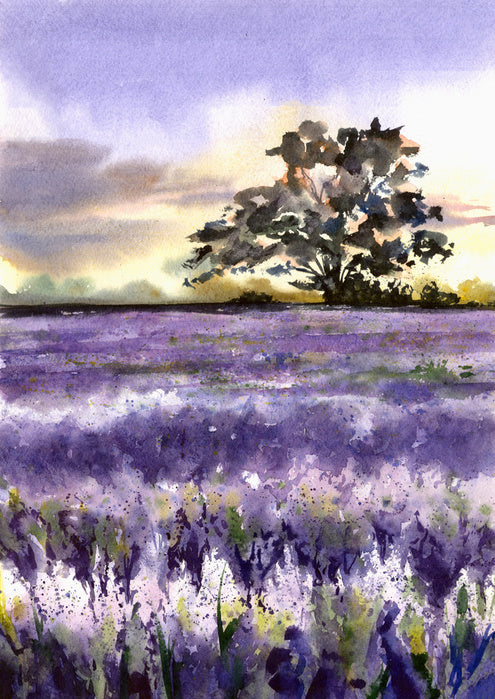 Purples of Provence