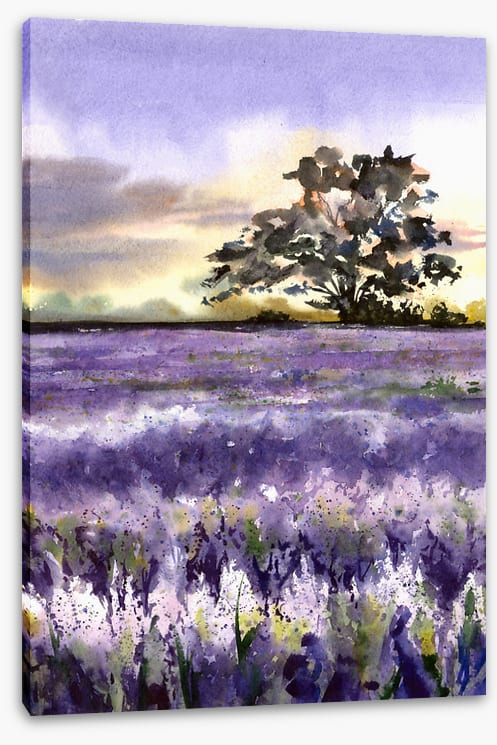 Purples of Provence