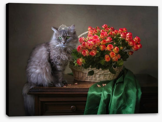 Still Life