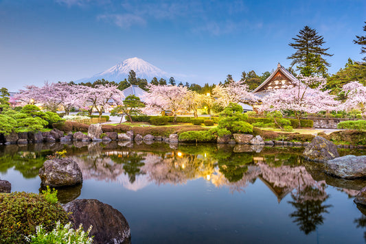 Shizuoka spring