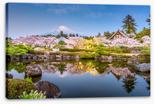 Shizuoka spring