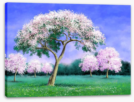 Pink blossom grove
