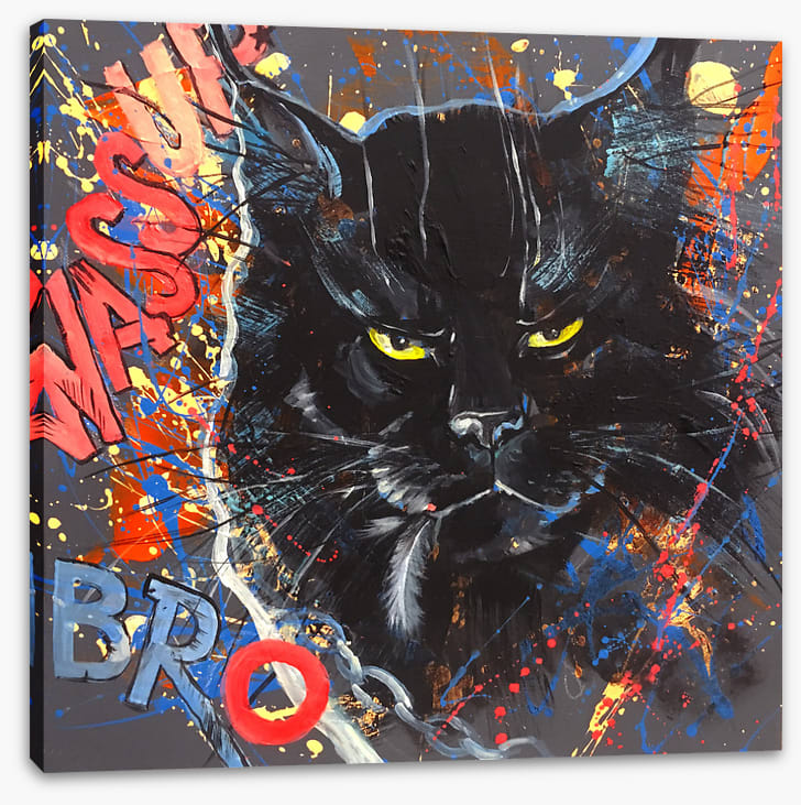Maine Coon cool