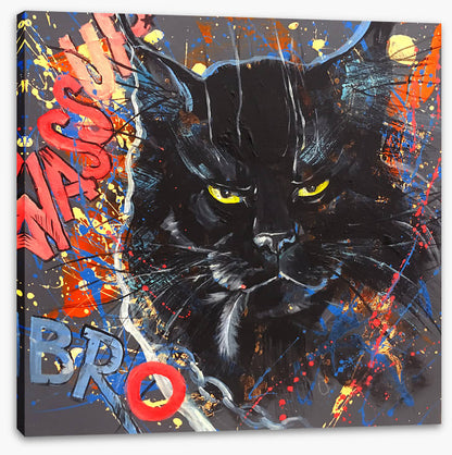 Maine Coon cool