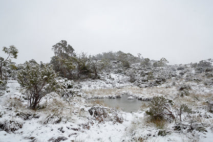 Tasmania